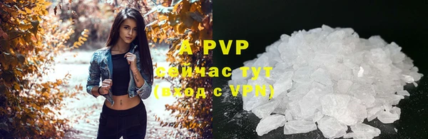 apvp Богородицк